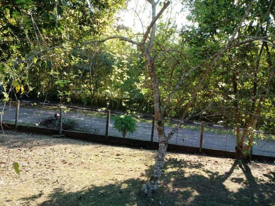 Fazenda, 1162 m² - Foto 15