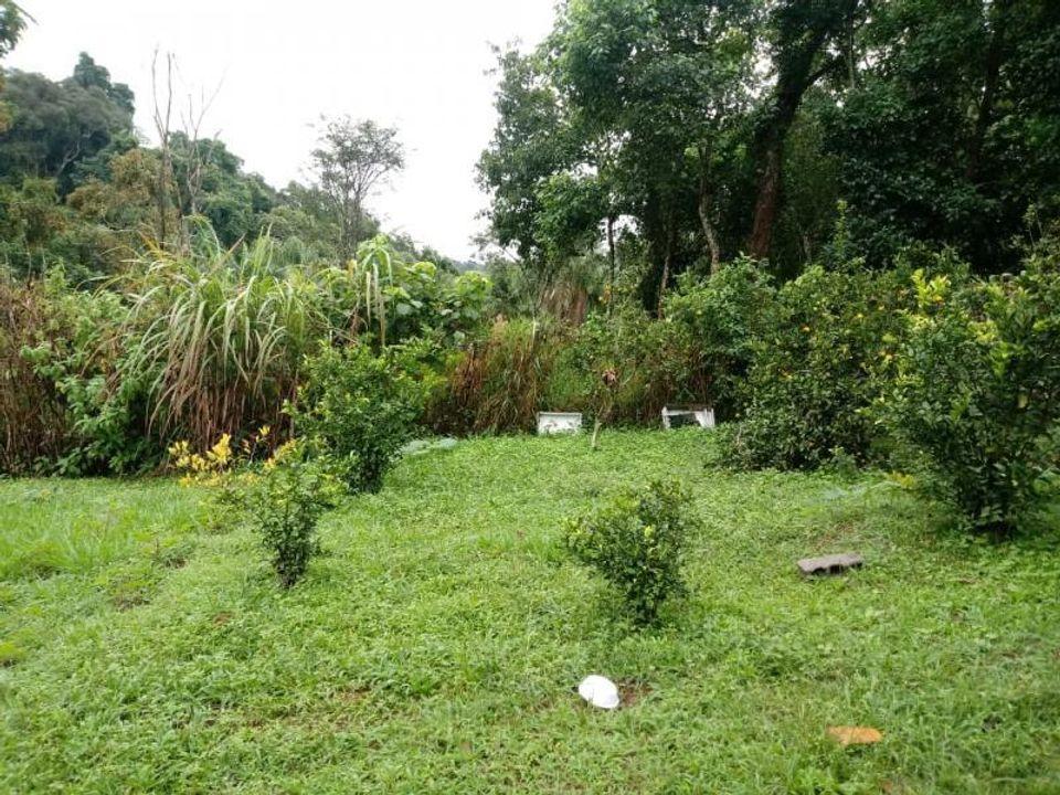 Fazenda, 1162 m² - Foto 5