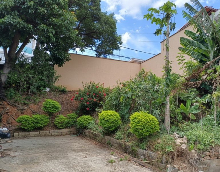 Terreno, 250 m² - Foto 4